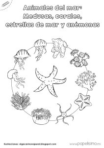 Animales del mar Medusas corales estrellas de mar y anemonas