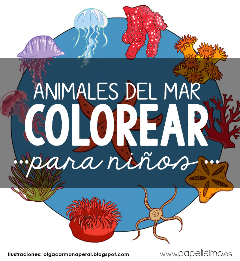 Dibujos-de-animales-marinos-para-imprimir-y-colorear