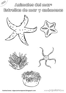Estrellas-de-mar-y-anemonas-para-colorear