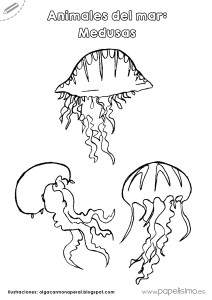Medusas-para-colorear-Animales-del-mar