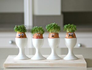Manualidades ninos minihuerto huevos