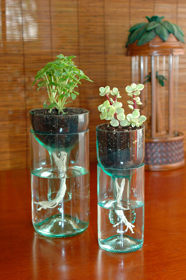 Botellas-de-vidrio-macetas-DIY-cut-bottle-plants