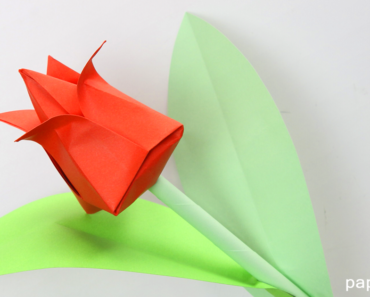 Papiroflexia para niños  Origami 