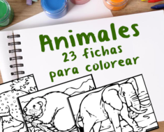 Colección 23 animales para colorear para niños