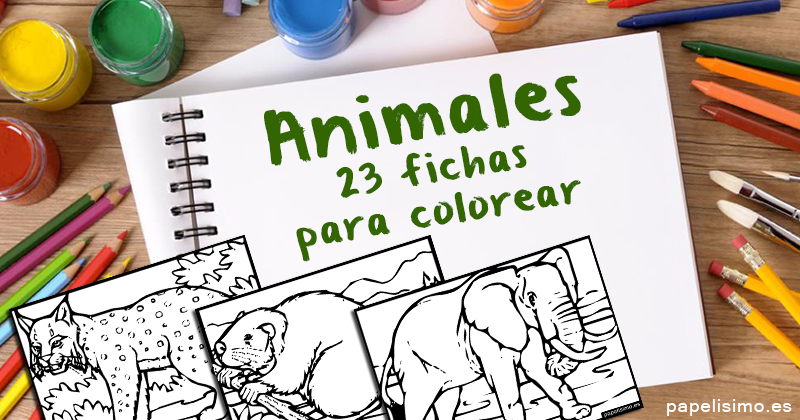 Colección 23 animales para colorear para niños